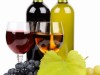 XXXVIII. ročník ochutnávky vín Víno Urban – Močenok 2024, výsledky odbornej degustácie
