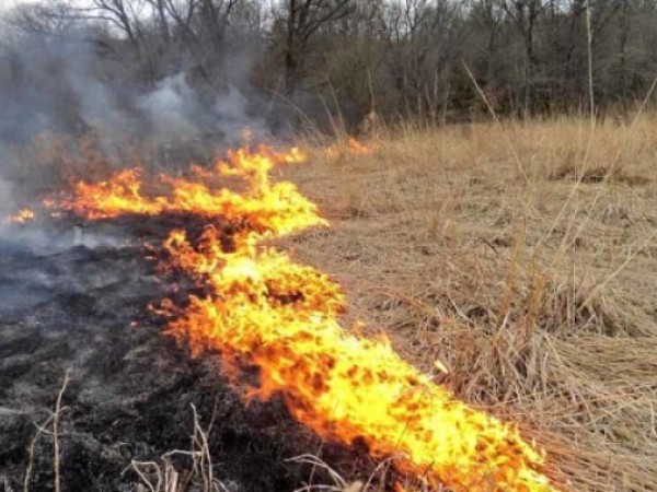 Vypaľovanie trávy je nielen protizákonné, ale aj nebezpečné