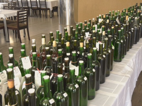34. ročník výstavy vín v Močenku - verejná časť