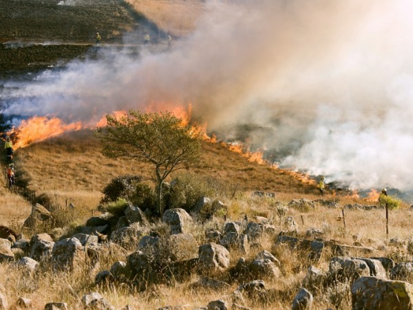 Vyhlásenie času zvýšeného nebezpečenstva vzniku požiaru okres Nitra a Šaľa