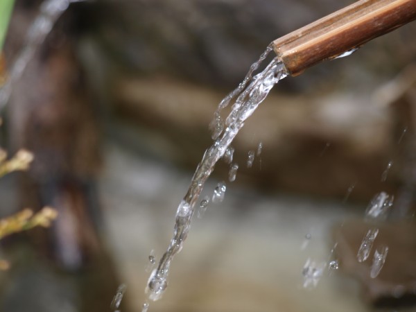 Výsledky skúšok rozboru vody artézskych studní - r. 2021
